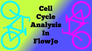 Cell Cycle analysis in FlowJo [upl. by Trant]