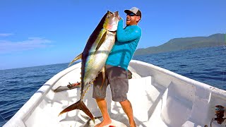 DOLPHIN Caught on FISHING LINE Safe Release [upl. by Nylyram]