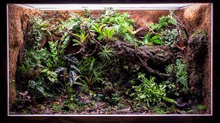 My 180 Gallon Vivarium is Taking Shape [upl. by Fin]