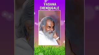 Vasana Chendukale Vasantha Mullakale  KJ Yesudas super hit melody song reels malayalamsongs [upl. by Trinl]