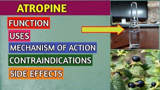 ATROPINE SULPHATE INJECTION DOSAGE USES ACTION IN HINDI EMERGENCY DRUG SIDE EFFECTS [upl. by Akimat]