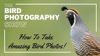 How to take AMAZING Bird Photos  The Bird Photography Show EP1 with Glenn Bartley amp Jan Wegener [upl. by Annabell]