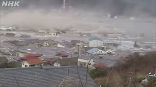 Tsunami Swallows Ofunatocho Ofunato City 3112011 [upl. by Maller440]