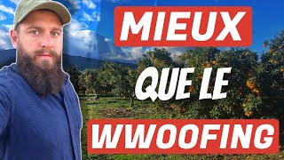 Le problème avec le wwoofing  retour d’expérience [upl. by Adnohser]