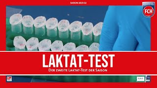 LaktatTest in der Länderspielpause [upl. by Elana]