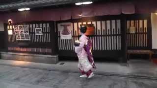 Geisha Watching in Gion Kyoto [upl. by Eipper792]