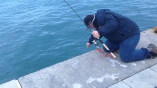 February Fishing on Corfu Island 8 [upl. by Gaskill]