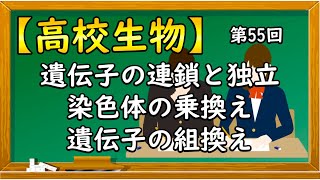 高校生物【第55回 遺伝子の連鎖と独立〜染色体の乗換えによる遺伝子の組換え〜】オンラインで高校授業 [upl. by Cl423]