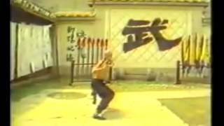 Gordon Liu  Hung Ga quotTiger and Crane Double Form Setquot Fu Hok Seung Ying Kyun [upl. by Verine386]