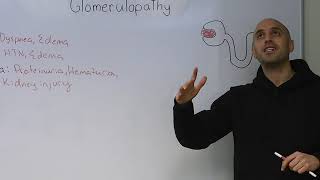 Diffuse Proliferative Glomerulonephritis vs Membranoproliferative Glomerulonephritis  DPGN vs MPGN [upl. by Audri]