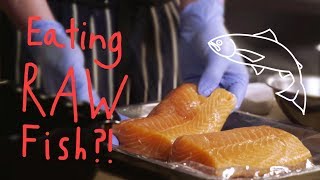 Why You Can Eat Raw Salmon  Y A Howto Series [upl. by Edithe]