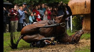 IMMORTALS  Reiten ist EINFACH Deutsches Musikvideo [upl. by Izawa843]