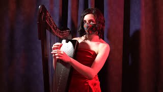 Where the Wild Roses Grow  Nick Cave Harp Cover [upl. by Farrand223]