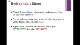 009Hydrophobic Effect amp Its Consequences [upl. by Cynthy888]