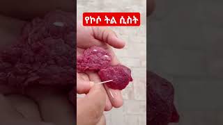 የኮሶ ትል ሲስት በጥሬ ሥጋ ላይ  Live beef tape worm  taeniasis subscribe healthbreak [upl. by Toddy]