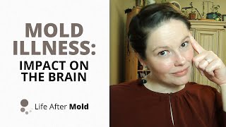 Mold Illness Impact on The Brain [upl. by Ahsiya559]