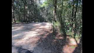 Florida Caverns State Park [upl. by Lakim]