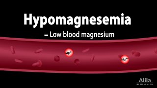 Magnesium Metabolism and Hypomagnesemia Animation [upl. by Ginsburg392]