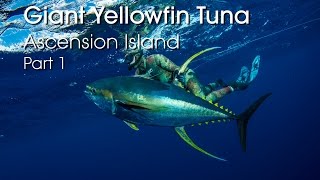 Spearfishing Ascension Island  HUGE Yellowfin Tuna  PART 1 HD [upl. by Savior]