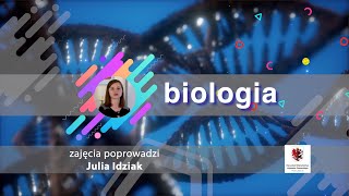 Biologia  SP  egzamin Zależności pokarmowe w ekosystemie [upl. by Nairda]