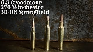 65 Creedmoor vs 270 Winchester vs 3006 Springfield Steel Penetration Test [upl. by Ilyak]