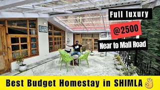 Super Comfortable Homestay in SHIMLA  Personal Experience  No Clickbait [upl. by Nawoj]