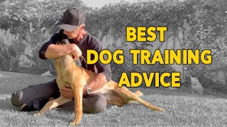 Best Dog Training Advice  Don’t Compare Your Dog to Dogs on Social Media [upl. by Uticas]