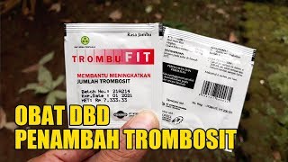 TROMBUFIT  Penambah Trombosit Obat Demam Berdarah DBD  Review [upl. by Packton]