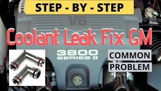 Coolant Leak repair GM 3800 [upl. by Apilef]