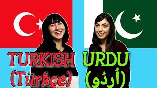 Similarities Between Turkish and Urdu [upl. by Wimsatt]