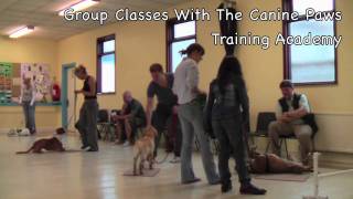 Beginners Basic Obedience Class [upl. by Nalahs130]