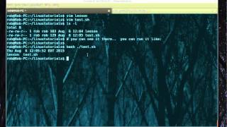 How to run a sh file in Linux [upl. by Enrahs881]