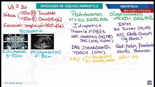 Formación Líquido Amniótico en Embarazo [upl. by Fiester]