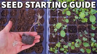 The Ultimate Beginners Guide To STARTING SEEDS Indoors [upl. by Skiest]