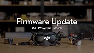 DJI FPV System  How to Update the Firmware [upl. by Dlorad]