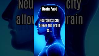 MindBlowing Brain Fact Unlocking Neuroplasticity 😲  Brain Facts 96 [upl. by Ailekat]