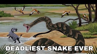 The Only Snake that Gave Titanoboa Snake Ophidiophobia [upl. by Lugar]