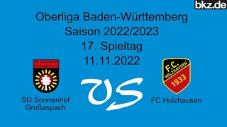 FußballOberliga SG Sonnenhof Großaspach  FC Holzhausen [upl. by Akkahs]