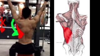 How To Properly Do Lat Pulldowns [upl. by Paxon]