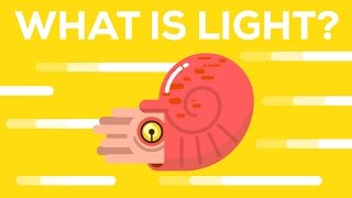 What Is Light [upl. by Maggy]