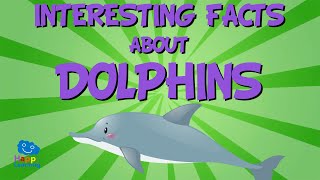 INTERESTING FACTS DOLPHINS  The most curious marine mammals  Educational Videos for Kids [upl. by Ennayhc]