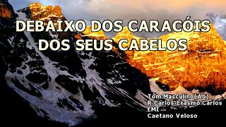 Videokê  Debaixo Dos Caracóis Dos Seus Cabelos  Caetano Veloso  3837 [upl. by Ahsinot]