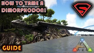 ARK HOW TO TAME A DIMORPHODON 2020  EVERYTHING YOU NEED TO KNOW ABOUT TAMING A DIMORPHODON [upl. by Yaya]