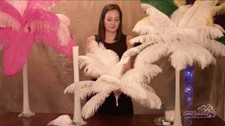 Ostrich Feather Centerpieces  How To DIY [upl. by Olmsted784]