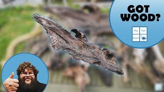 How To Prepare And Collect Driftwood For Freshwater Aquarium [upl. by Libby]