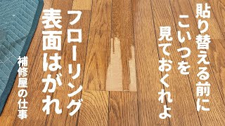 【フローリング補修】表面が劣化して単板が剥がれてしまったフローリングを直します。 [upl. by Felicity144]