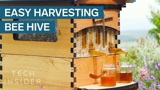 Crowdfunded Beehive Provides Honey On Tap [upl. by Matt]