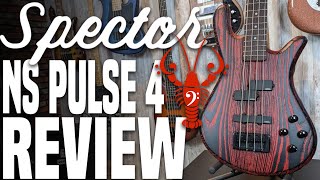 Spector NS Pulse 4 Review  Spector Its time to ditch the Tone Pump Jr  LowEndLobster Review [upl. by Ydahs902]