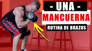 Rutina de Brazos con Una Mancuerna RUTINAS CON UNA MANCUERNA  Rutina de Biceps y Triceps en Casa [upl. by Amuh]