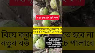 কাকডুমুর motivational motivation youtubeshorts viralreels viralshort shorts plants garden [upl. by Bergman]